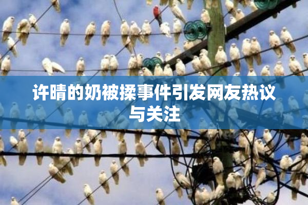许晴的奶被揉事件引发网友热议与关注
