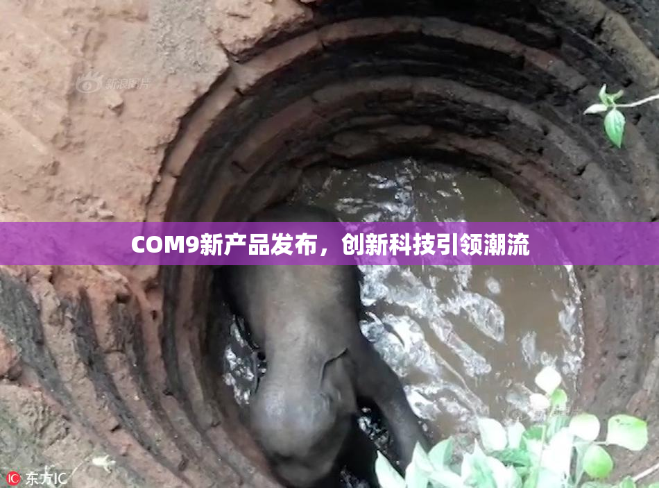 COM9新产品发布，创新科技引领潮流