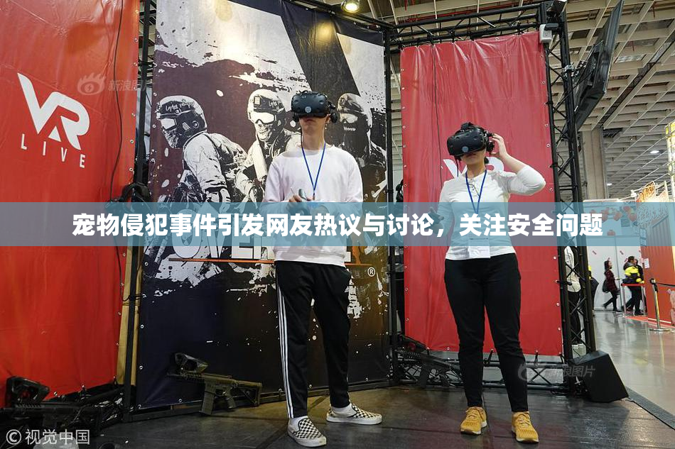 宠物侵犯事件引发网友热议与讨论，关注安全问题