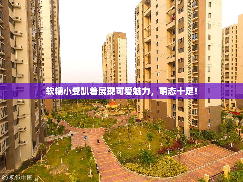 软糯小受趴着展现可爱魅力，萌态十足！