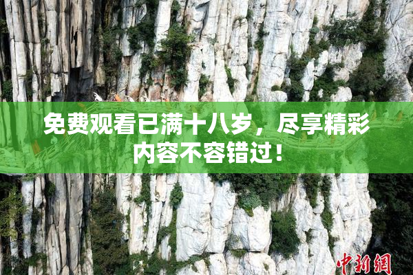 免费观看已满十八岁，尽享精彩内容不容错过！