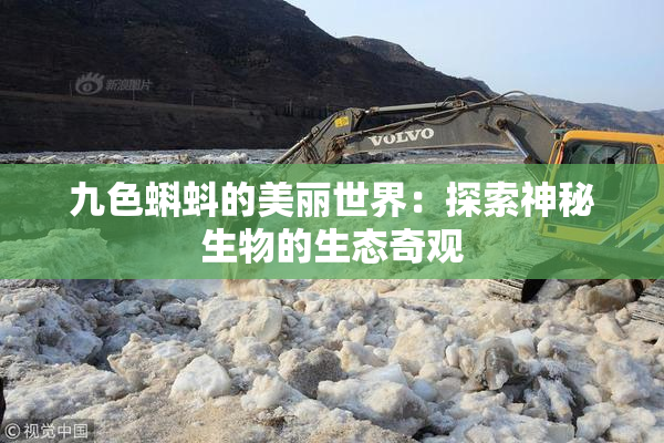 九色蝌蚪的美丽世界：探索神秘生物的生态奇观