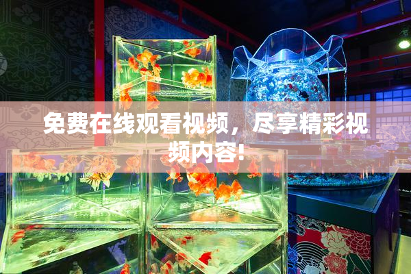 免费在线观看视频，尽享精彩视频内容!
