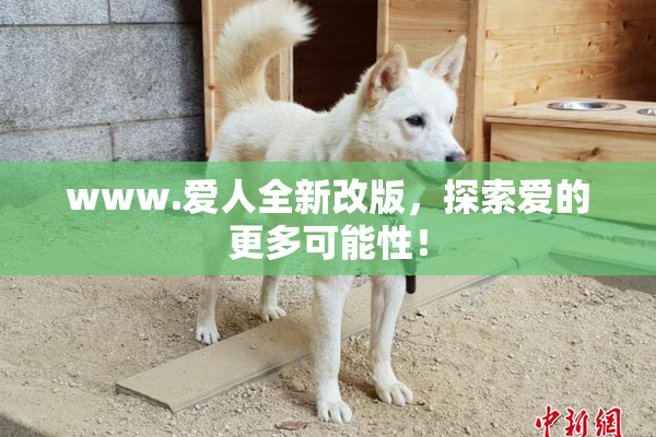 www.爱人全新改版，探索爱的更多可能性！