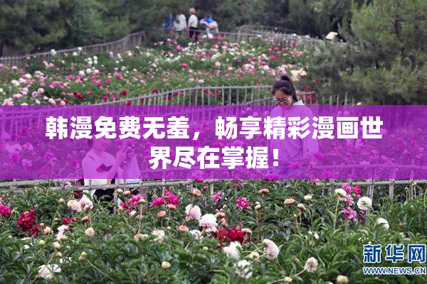 韩漫免费无羞，畅享精彩漫画世界尽在掌握！