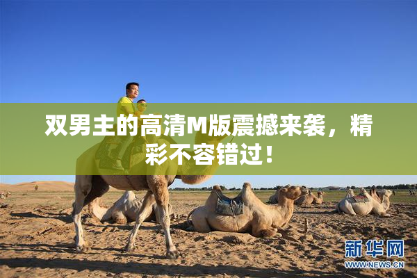 双男主的高清M版震撼来袭，精彩不容错过！
