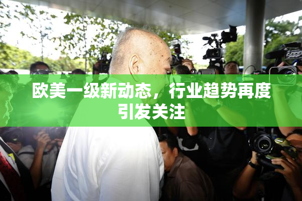 欧美一级新动态，行业趋势再度引发关注
