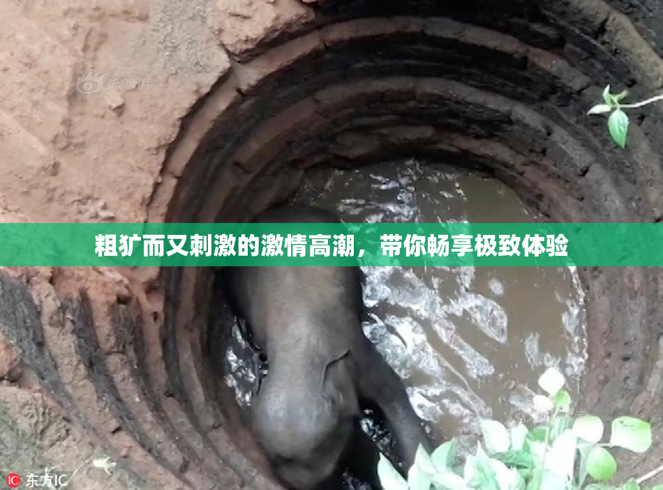 粗犷而又刺激的激情高潮，带你畅享极致体验