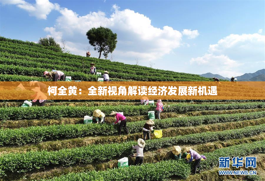 柯全黄：全新视角解读经济发展新机遇