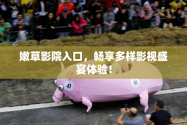 嫩草影院入口，畅享多样影视盛宴体验！
