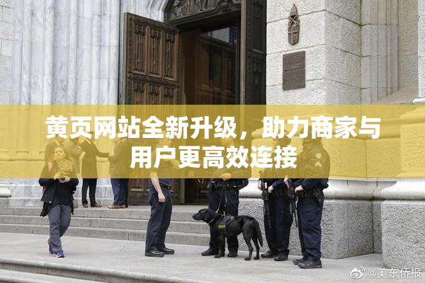 黄页网站全新升级，助力商家与用户更高效连接