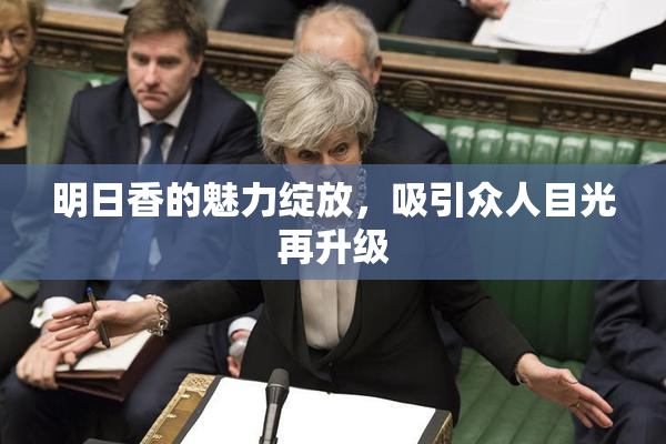 明日香的魅力绽放，吸引众人目光再升级