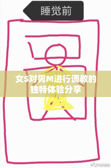 女S对男M进行调教的独特体验分享