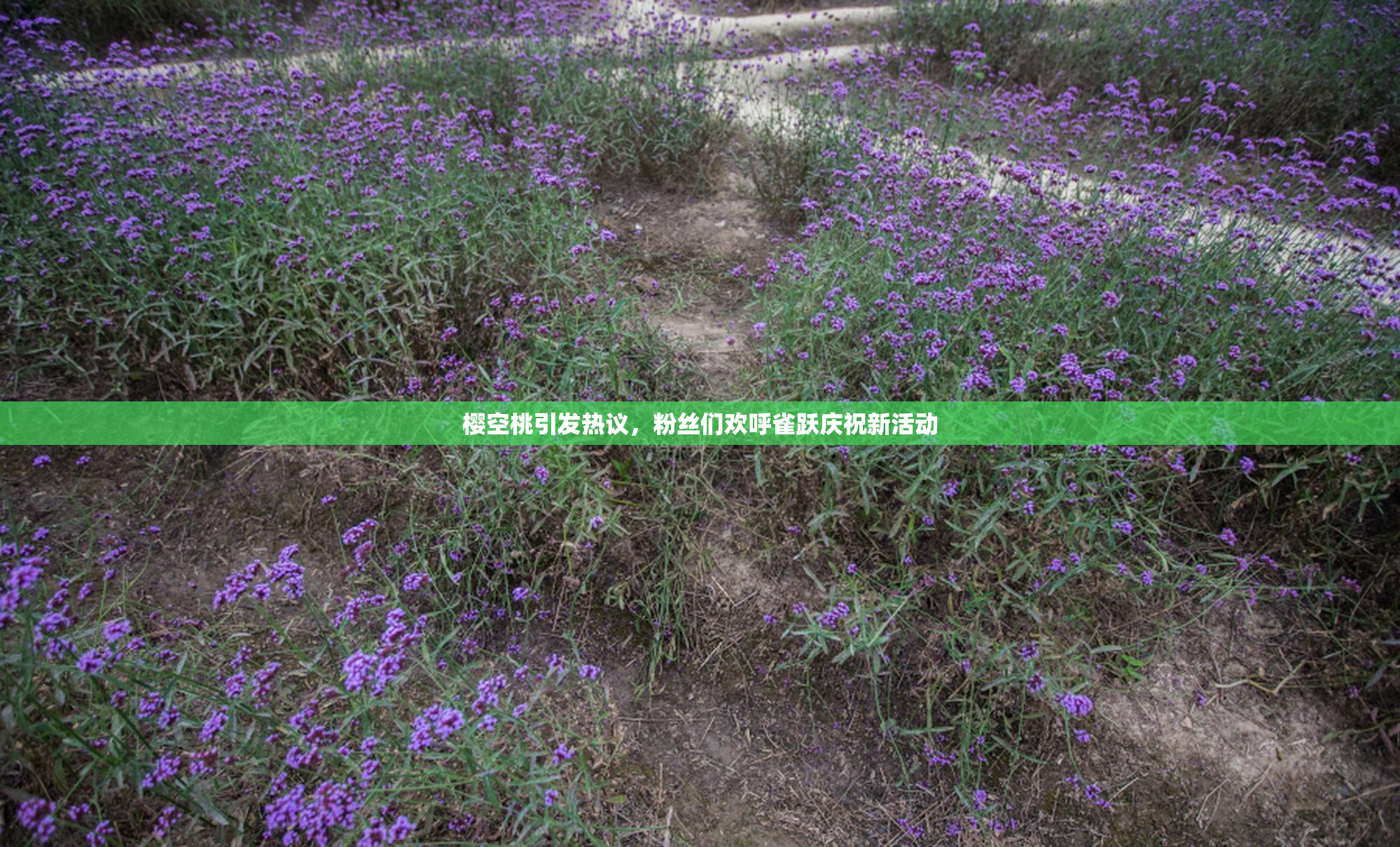 樱空桃引发热议，粉丝们欢呼雀跃庆祝新活动