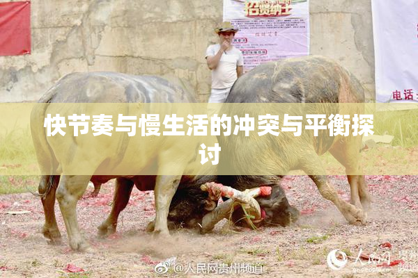 快节奏与慢生活的冲突与平衡探讨
