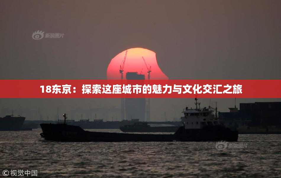 18东京：探索这座城市的魅力与文化交汇之旅