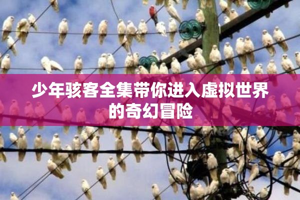 少年骇客全集带你进入虚拟世界的奇幻冒险