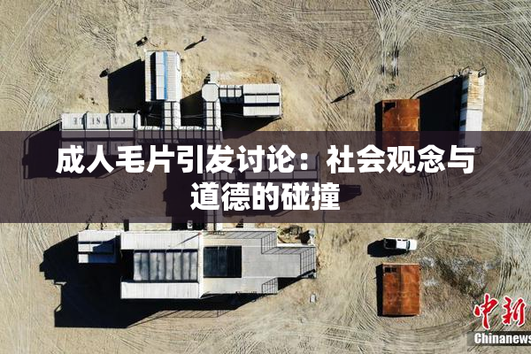 成人毛片引发讨论：社会观念与道德的碰撞