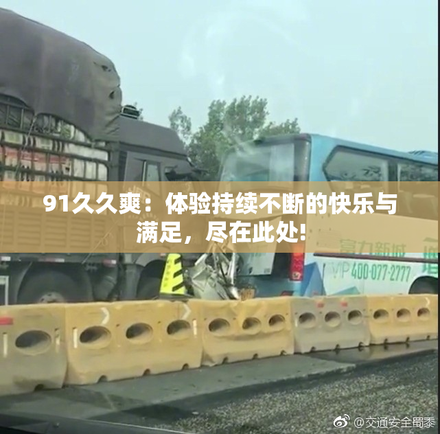 91久久爽：体验持续不断的快乐与满足，尽在此处!