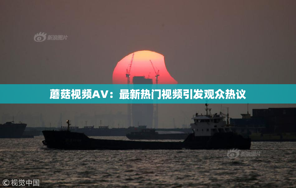 蘑菇视频AV：最新热门视频引发观众热议