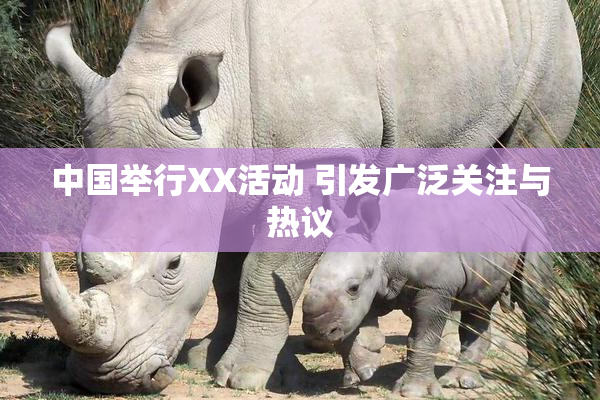 中国举行XX活动 引发广泛关注与热议