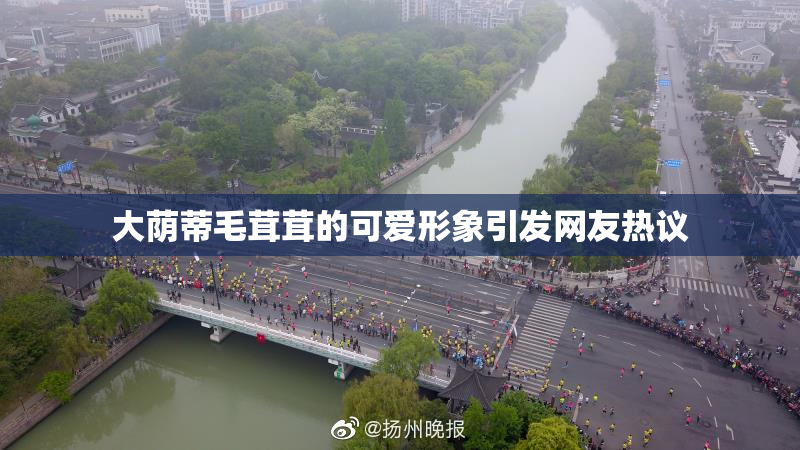 大荫蒂毛茸茸的可爱形象引发网友热议