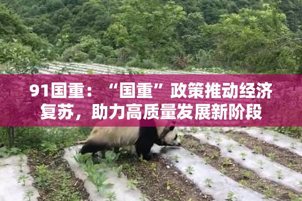 91国重：“国重”政策推动经济复苏，助力高质量发展新阶段