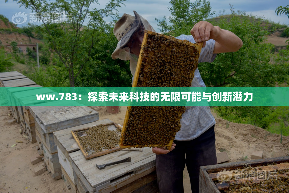 ww.783：探索未来科技的无限可能与创新潜力