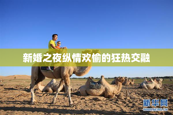 新婚之夜纵情欢愉的狂热交融