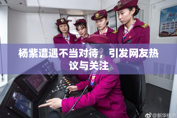 杨紫遭遇不当对待，引发网友热议与关注