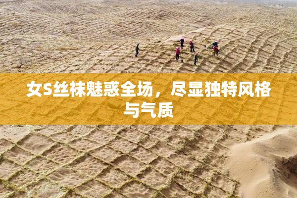 女S丝袜魅惑全场，尽显独特风格与气质