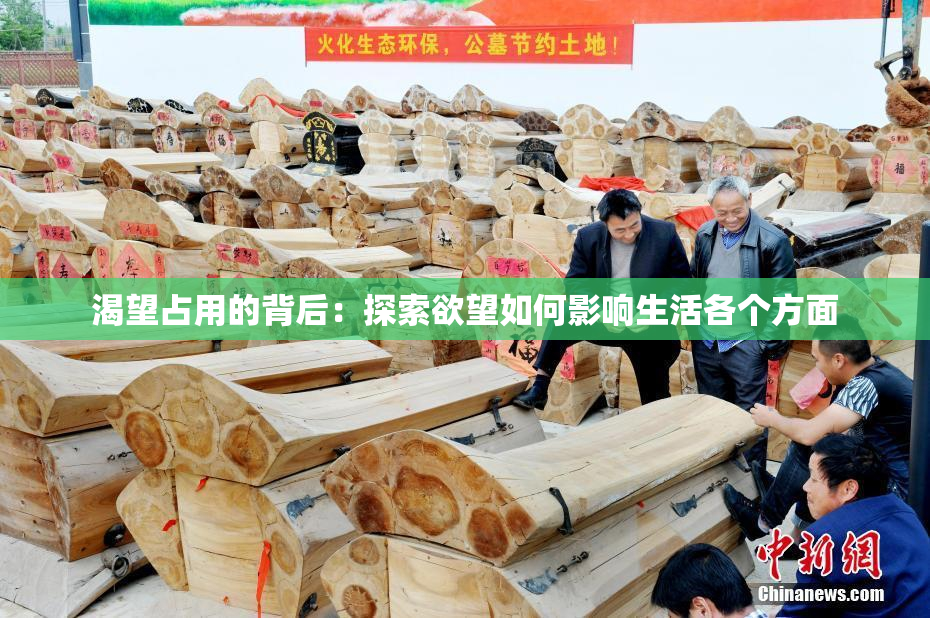 渴望占用的背后：探索欲望如何影响生活各个方面