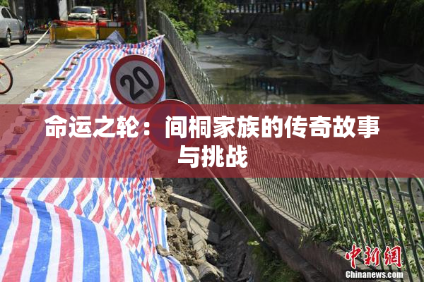 命运之轮：间桐家族的传奇故事与挑战