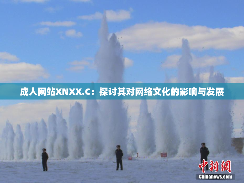 成人网站XNXX.C：探讨其对网络文化的影响与发展