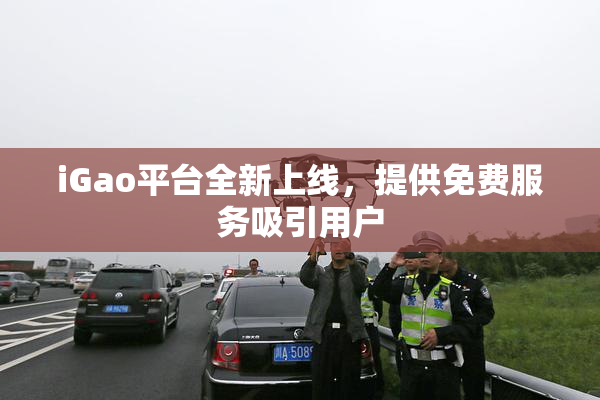 iGao平台全新上线，提供免费服务吸引用户