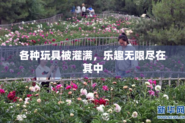 各种玩具被灌满，乐趣无限尽在其中