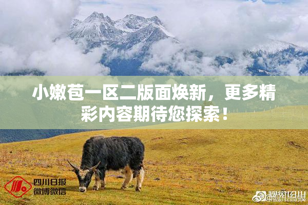小嫩苞一区二版面焕新，更多精彩内容期待您探索！