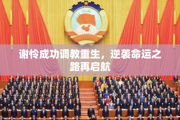 谢怜成功调教重生，逆袭命运之路再启航