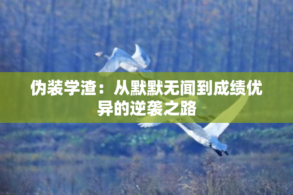 伪装学渣：从默默无闻到成绩优异的逆袭之路