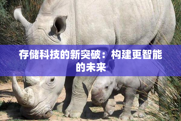 存储科技的新突破：构建更智能的未来