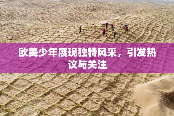 欧美少年展现独特风采，引发热议与关注