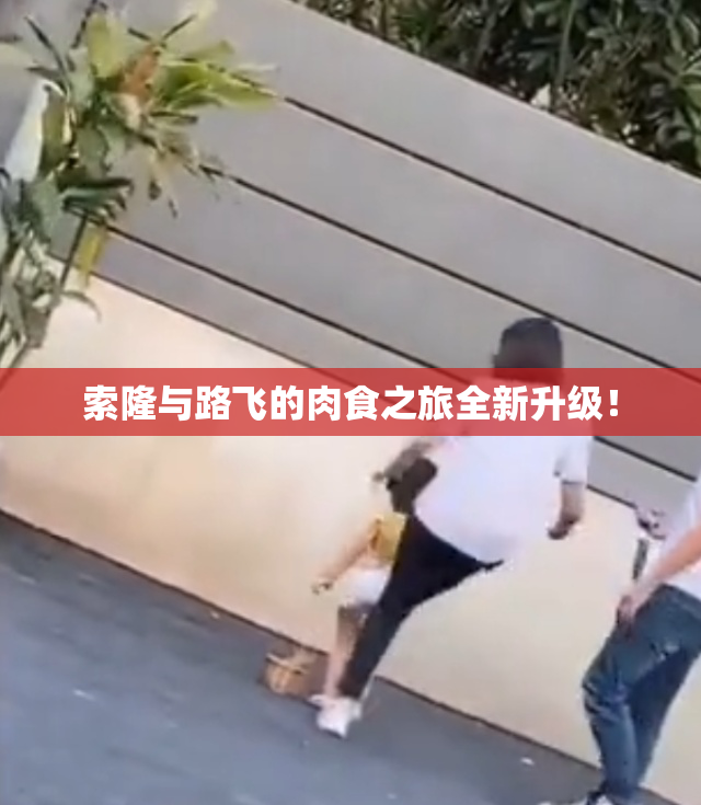 索隆与路飞的肉食之旅全新升级！