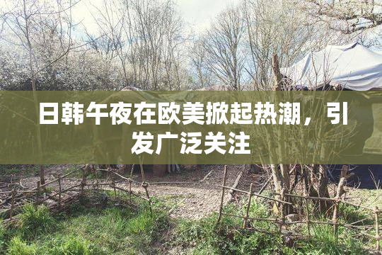 日韩午夜在欧美掀起热潮，引发广泛关注