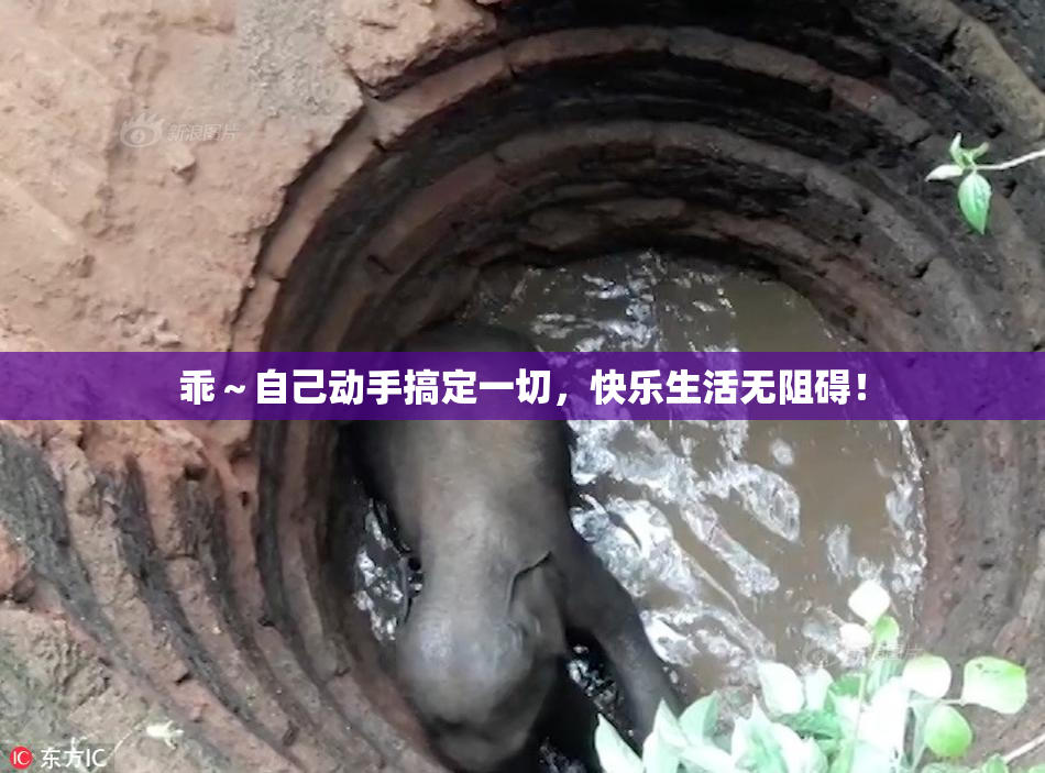 乖～自己动手搞定一切，快乐生活无阻碍！