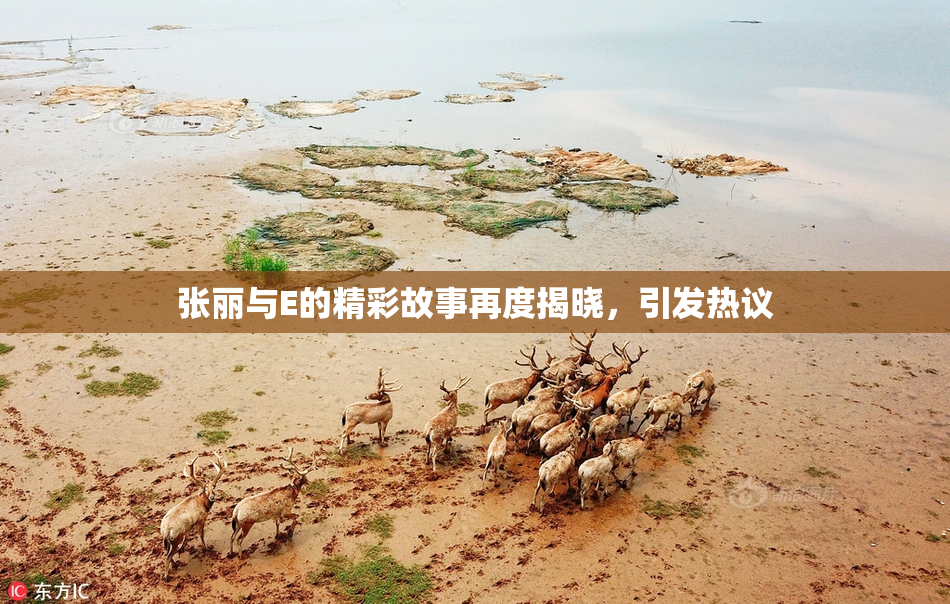 张丽与E的精彩故事再度揭晓，引发热议