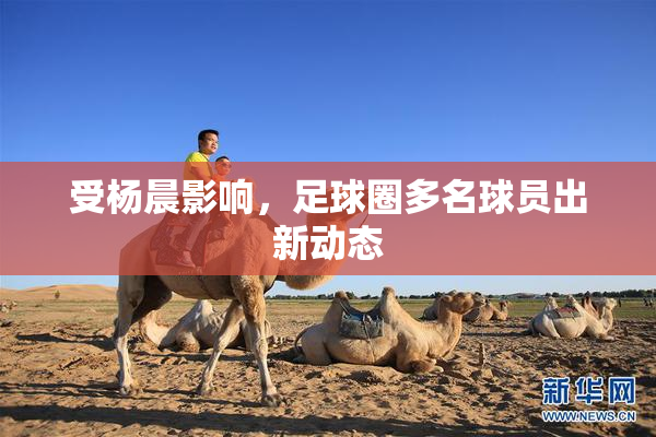 受杨晨影响，足球圈多名球员出新动态