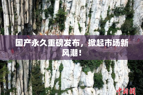 国产永久重磅发布，掀起市场新风潮！