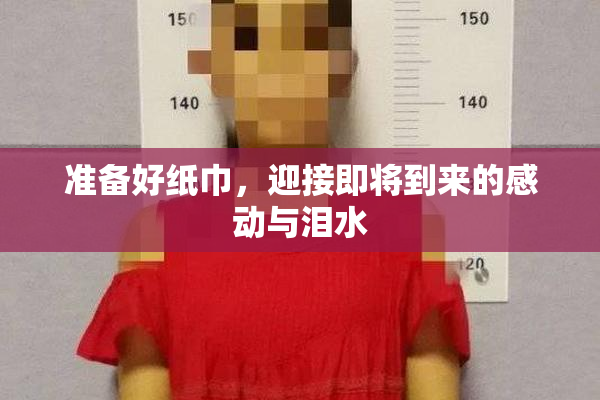准备好纸巾，迎接即将到来的感动与泪水