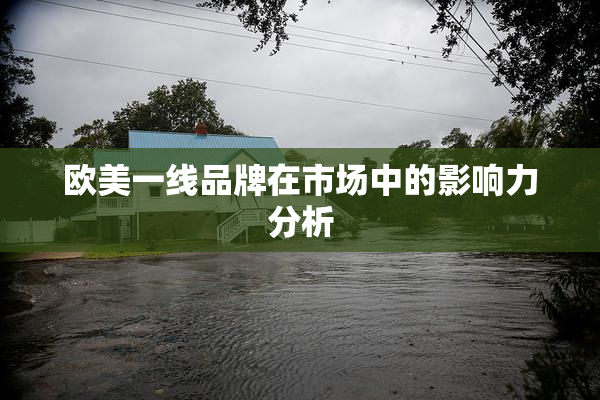 欧美一线品牌在市场中的影响力分析