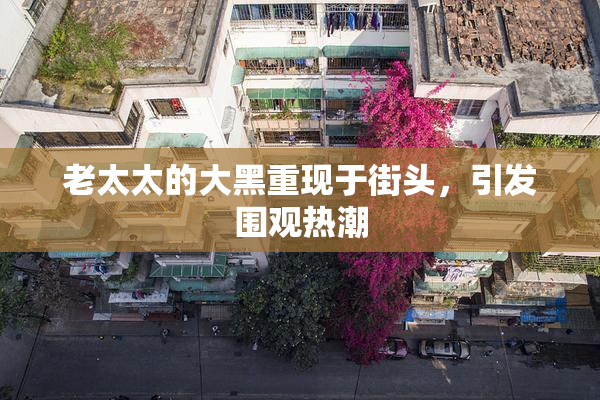 老太太的大黑重现于街头，引发围观热潮